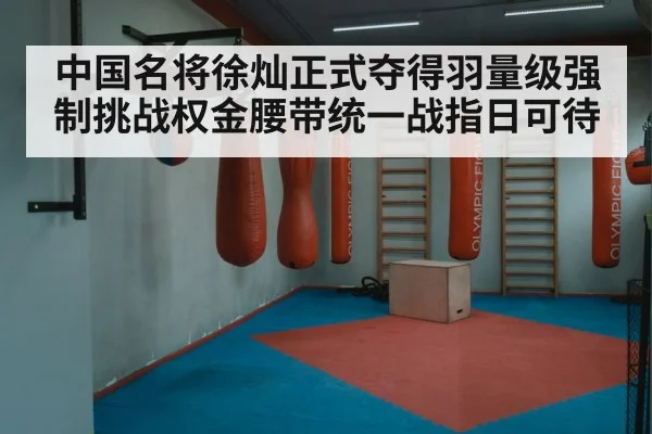中国名将徐灿正式夺得羽量级强制挑战权金腰带统一战指日可待