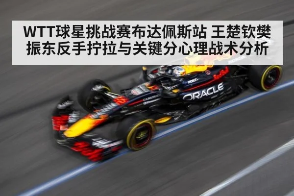 WTT球星挑战赛布达佩斯站 王楚钦樊振东反手拧拉与关键分心理战术分析